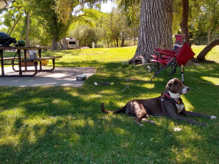 Green River State Park Green River, UT Campground Reviews